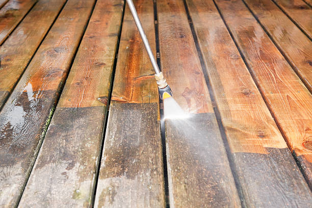 Professional Pressure washing in La Homa, TX